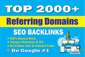 I will build 500 referring domain SEO backlinks for g...