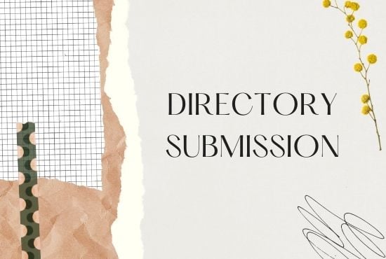 submit 100 manual high quality directory submission