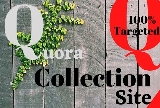 20 High quality Quora Answer posting with your Keywor...