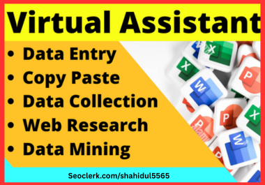 I will do Expert Excel Data Entry, Web Research and ...