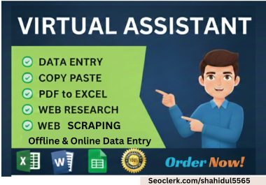 I will do professional data entry, web research, copy paste and virtual assistant tasks