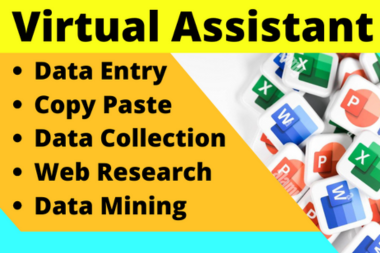 Data entry, copy paste, web research and virtual assistant 