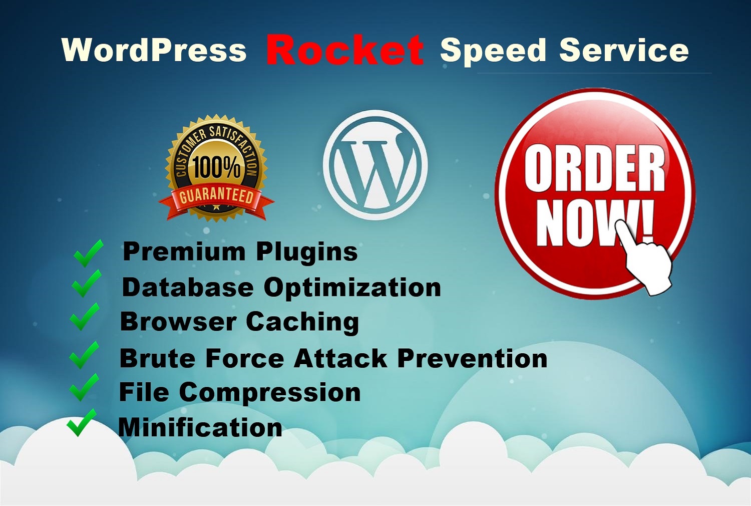 I will optimize wordpress website speed