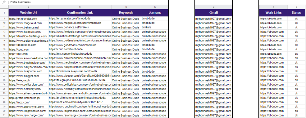 I Will Create 300 Effective Profile Backlinks Creations For SEO Ranking