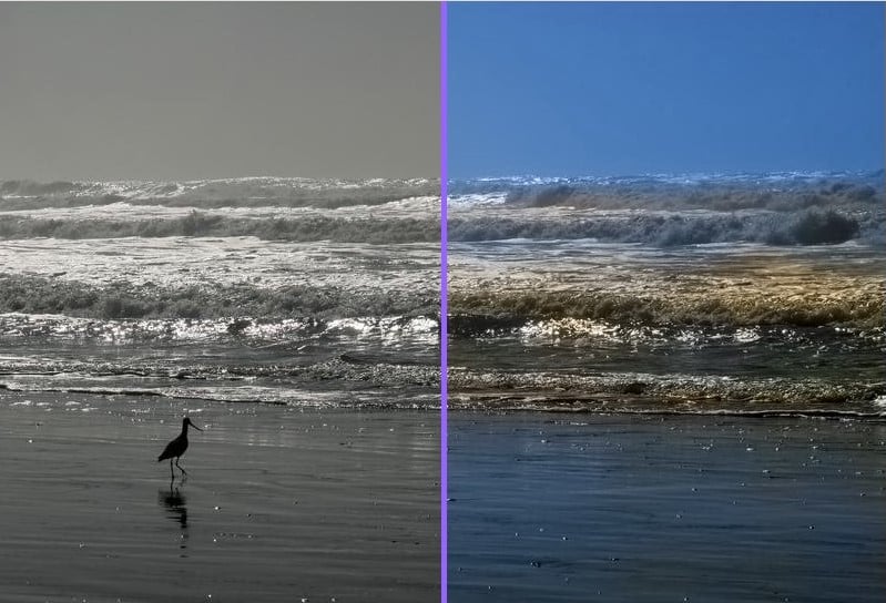 i will colourize and restore your old or black and white image