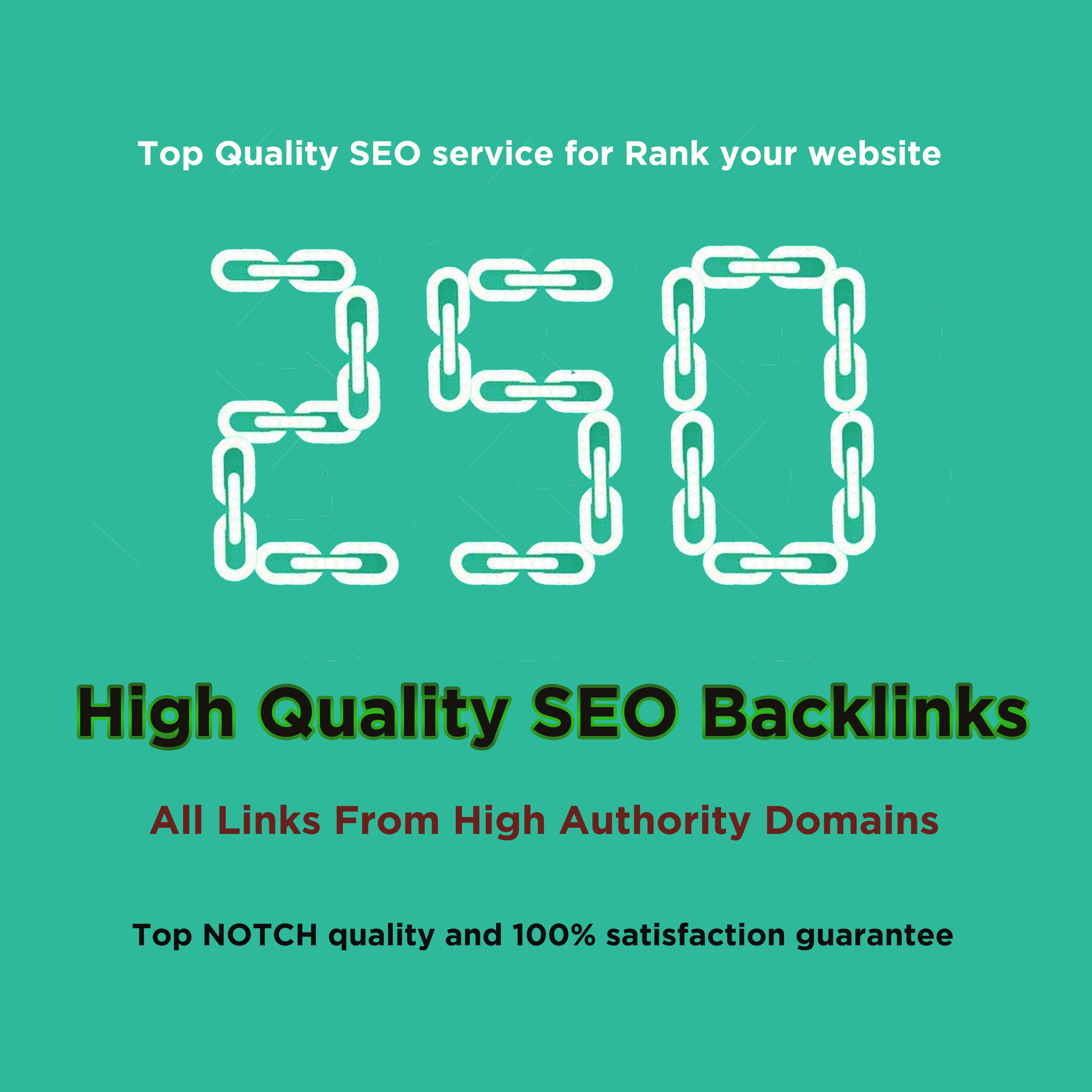 I will do 250 unique high domain authority SEO Profile Backlinks manually