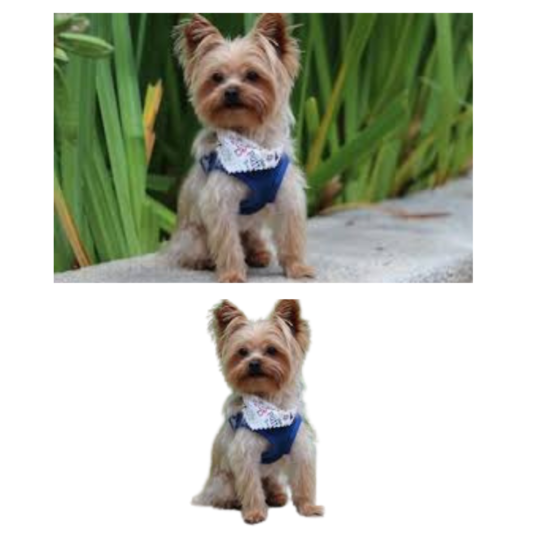  Remove any background for you super-fast 