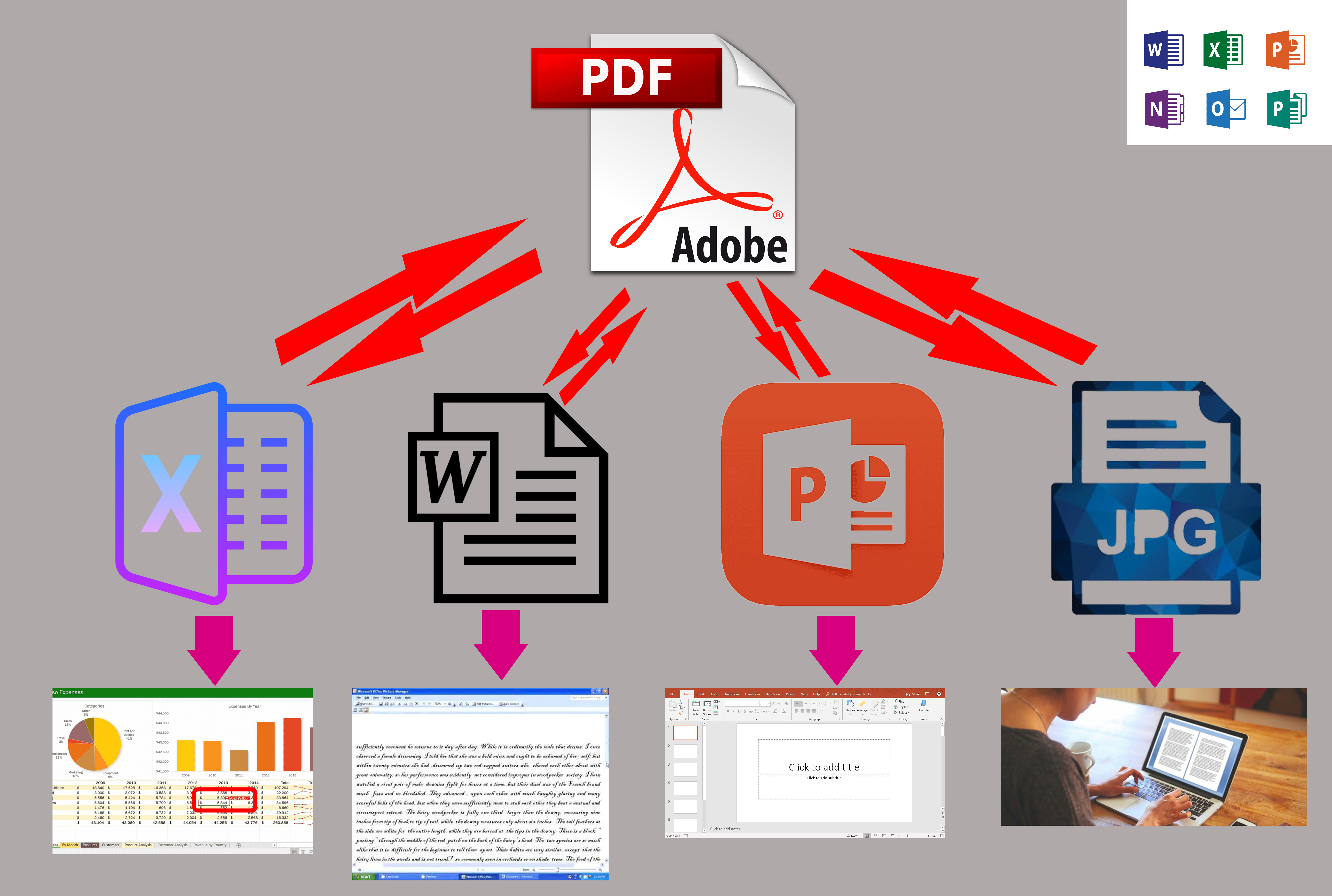 I will convert PDF to word and word to PDF