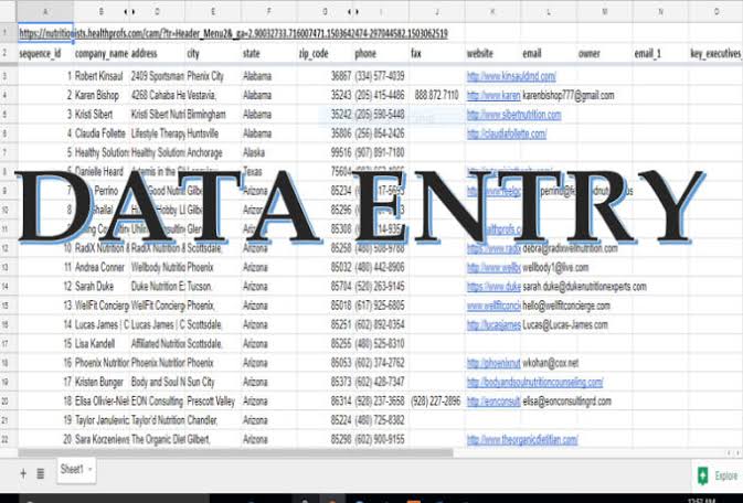 I will be greatful data entry with in 24h. This is real pic data entry