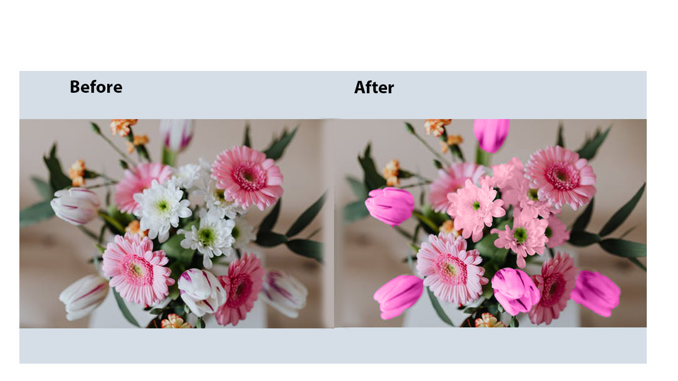 Background remove and image retouching