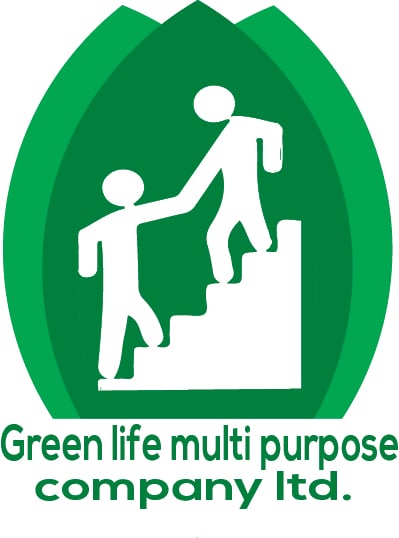 I will design minimalist logo for your company