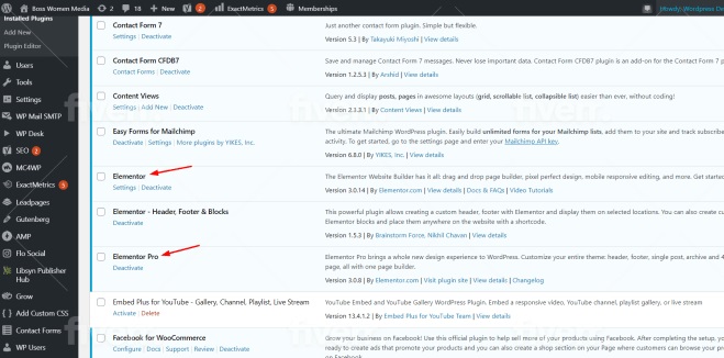 I will install Elementor Pro, Astra Pro, Wp Rocket, Crockblock Wordpress Website Design