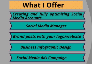  social media manager and social media ads campaign