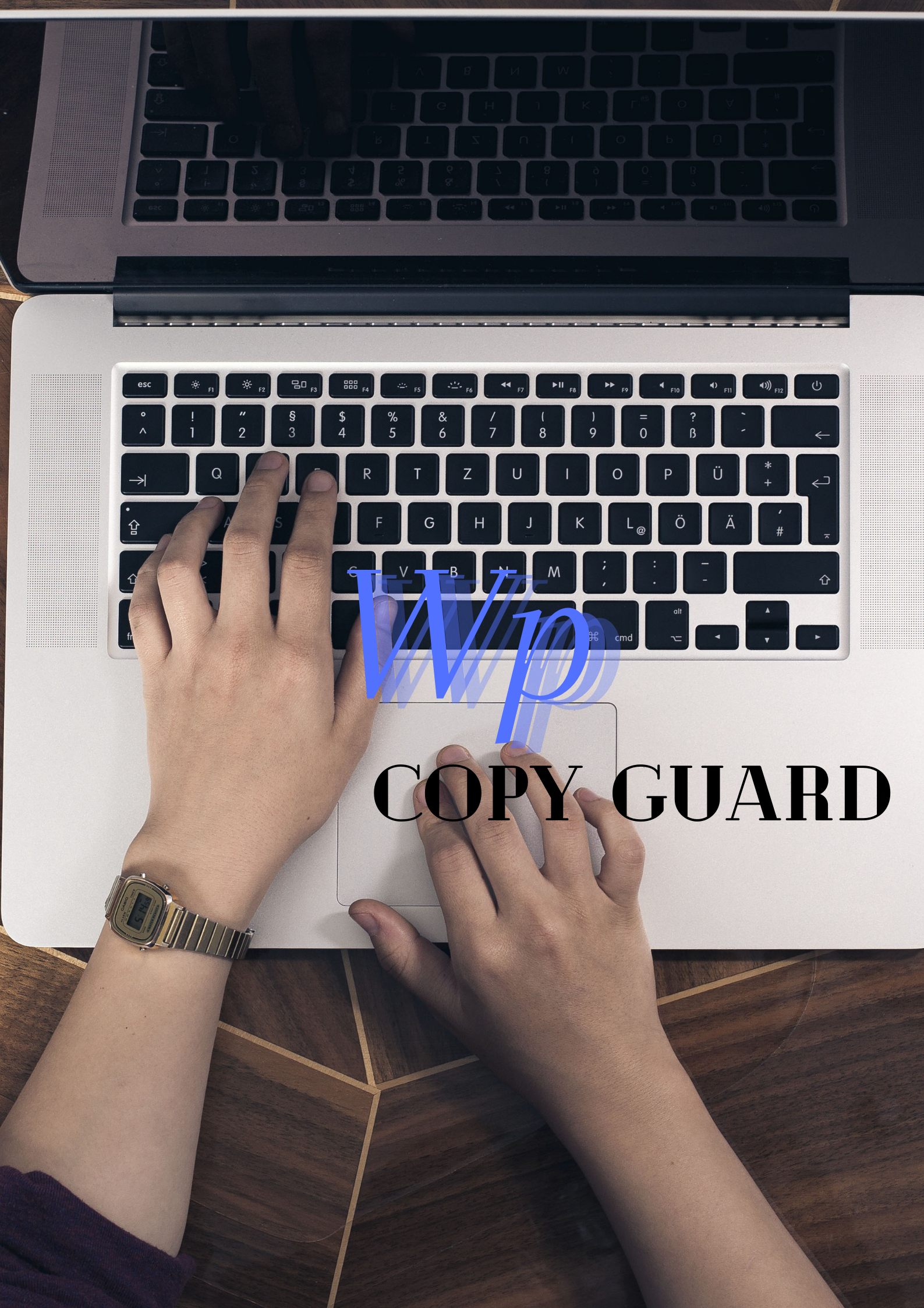 blog copy guard for WordPress. 