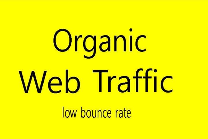 Organic web traffic 30 days from real sources 