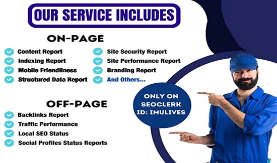 I Will Audit Your Website and Send You the Full Report