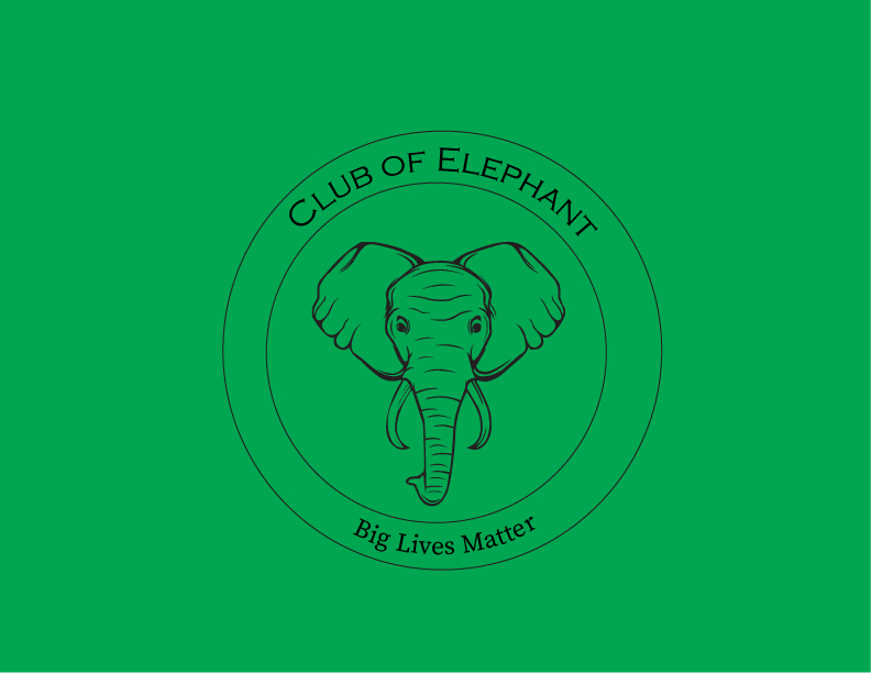 I will create vector, business, mascot and fashion logos