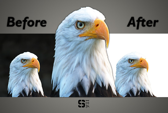 I will do professionally background removal in your images.