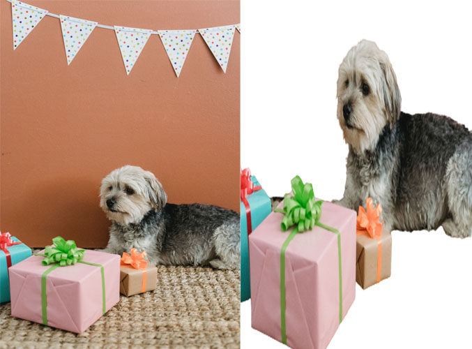 I will remove image image background Quickly 