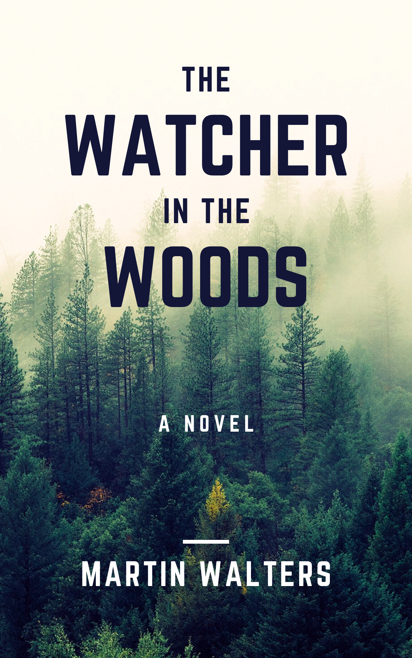 I will design professional book cover or ebook covers