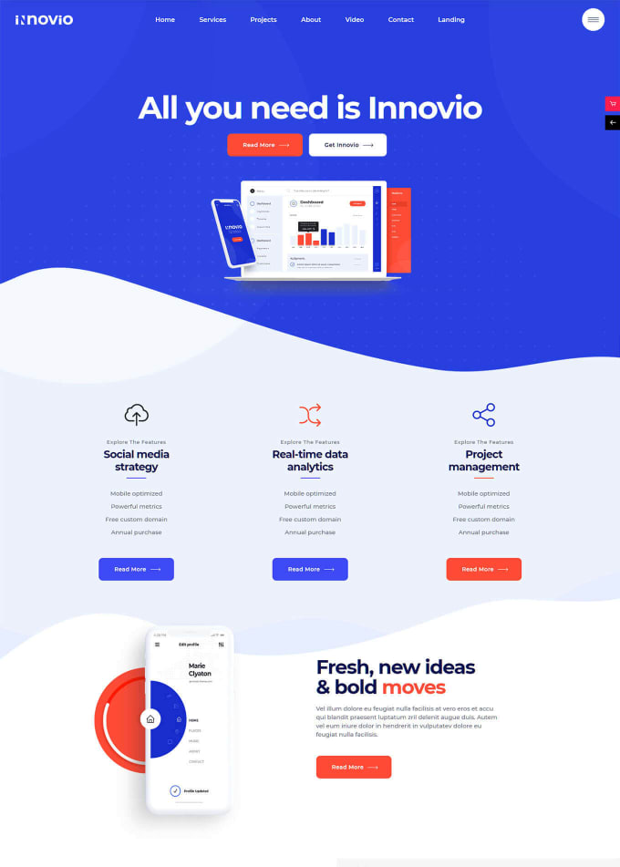 I will copy, clone websites and redesign wordpress website