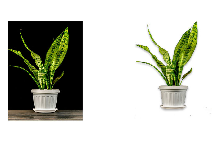 I will remove image background & image for add another background 10 images