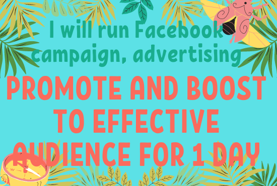 I will run Facebook campaign, advertising, promote ...