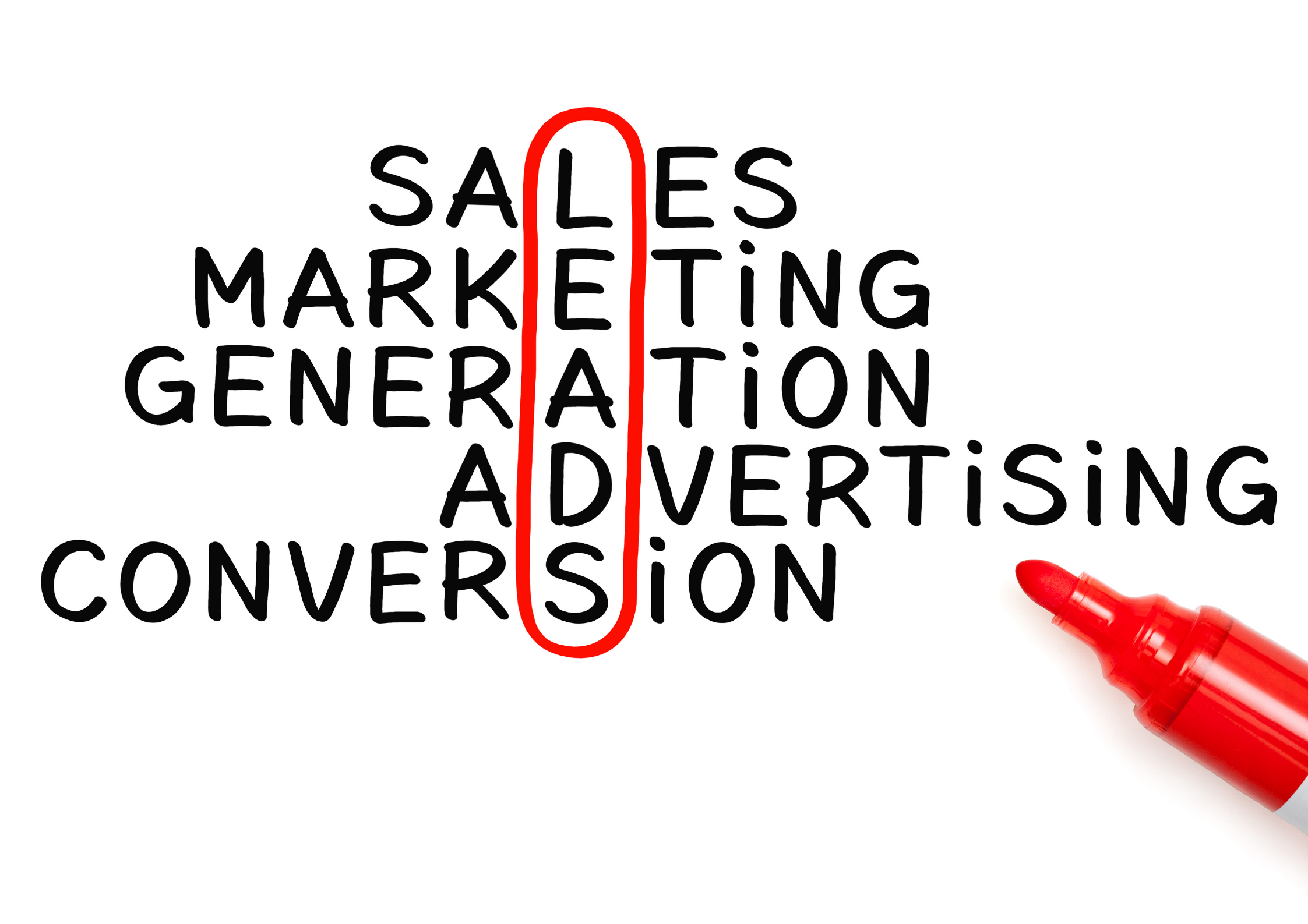 Exclusive SEO & Web Designing Leads!