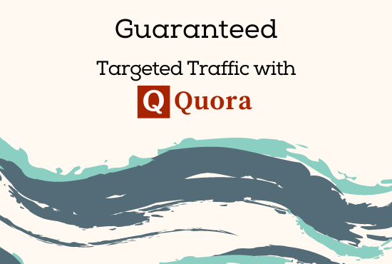 Guaranteed Niche related Targeted Traffic with 50 Quo...