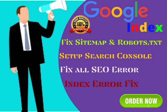 I will index your website and fix issues on google search console