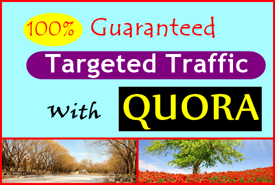 100% Guaranteed target traffic offer with 30 blank answers.