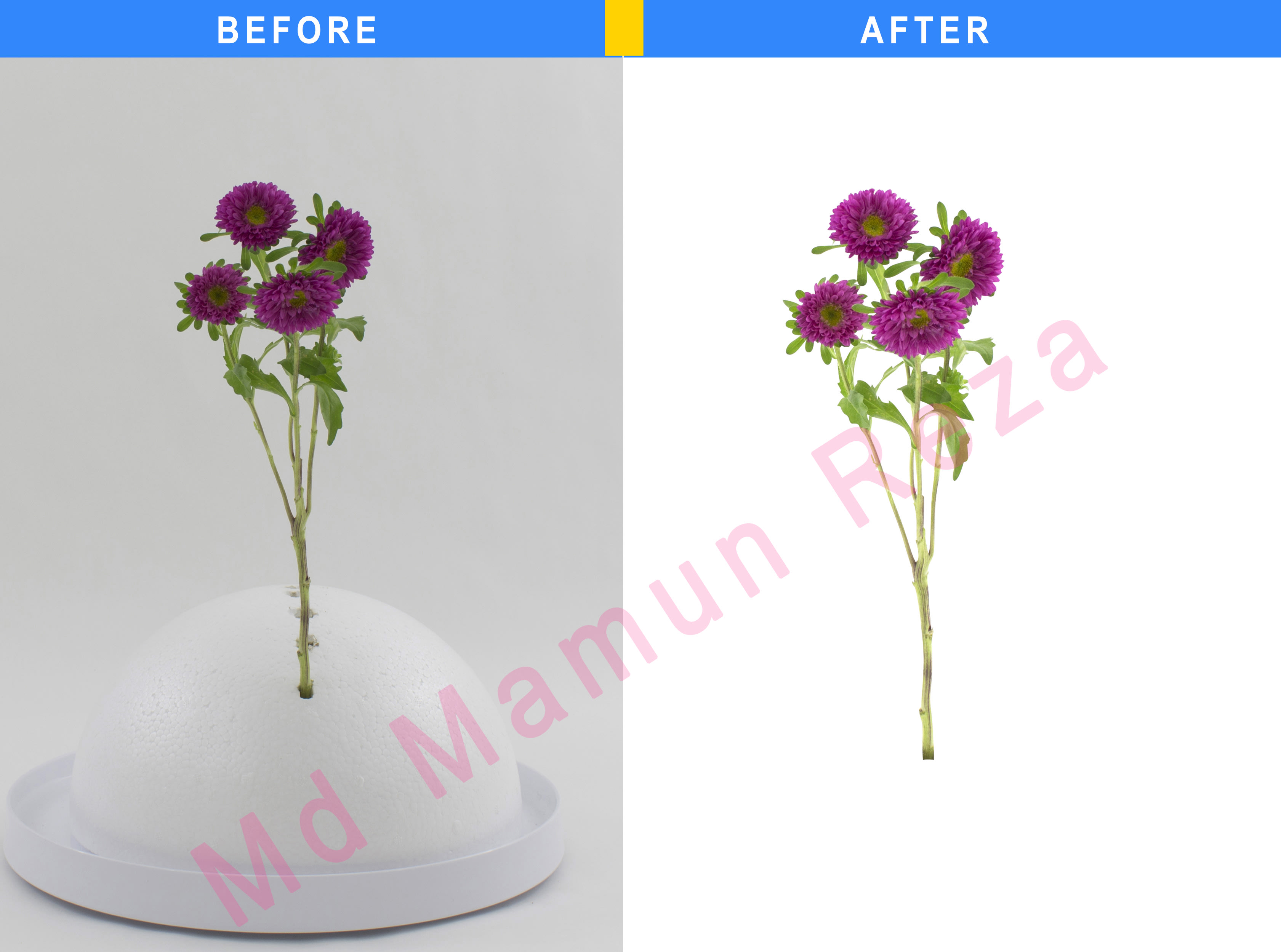  I will remove the background 15 beautiful pictures