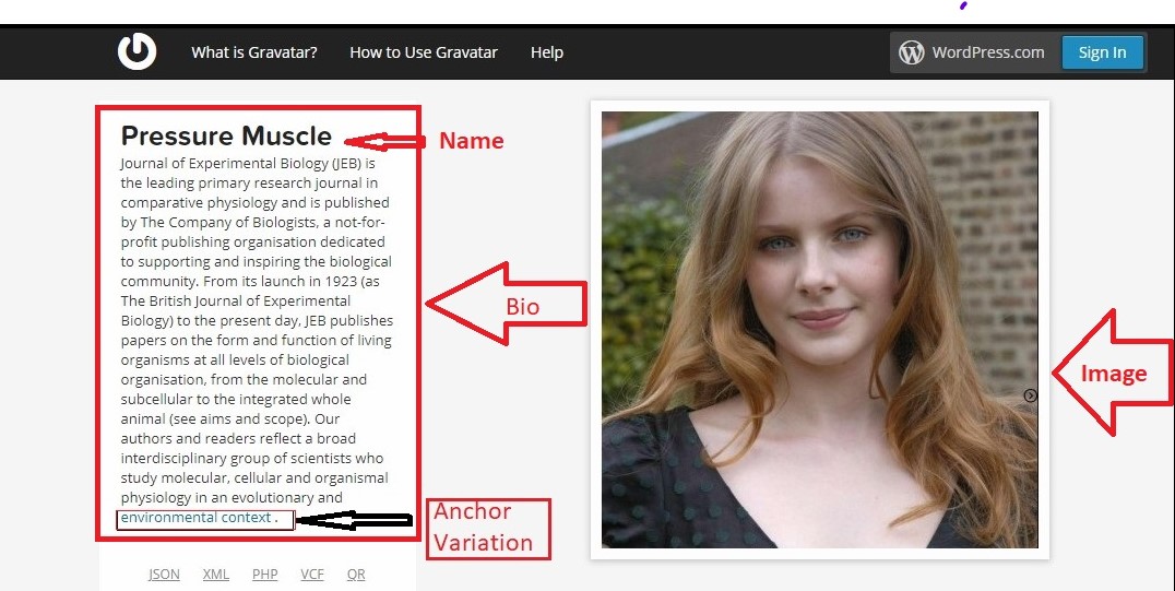 50 High DA Social Profile Backlinks Manually Create