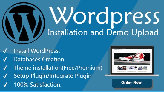 I will install WordPress theme and complete your business website