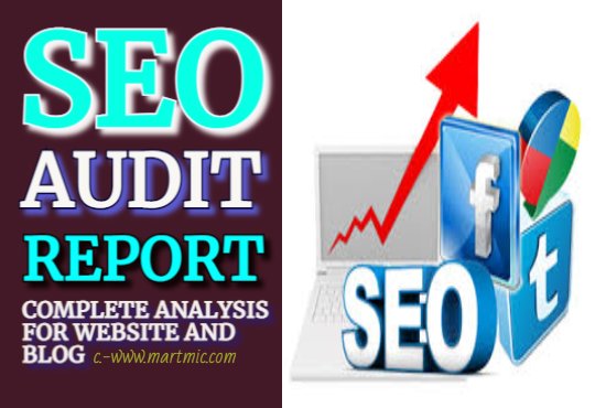 I will do SEO analysis audit report for website or blog