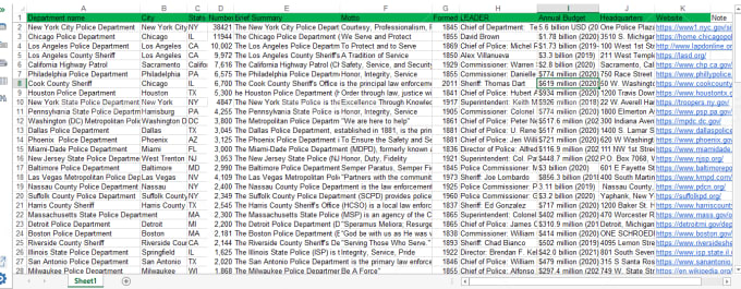 I will do excel data entry, web research, data entry, copy paste, virtual assistant