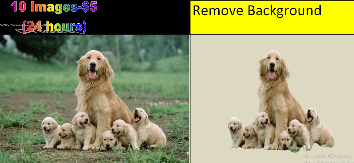 I will do remove background from 10 images within 24 hours