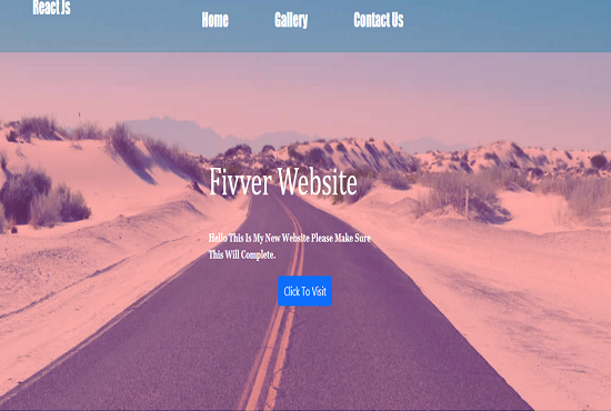 Professional Web Designer And Web Developer