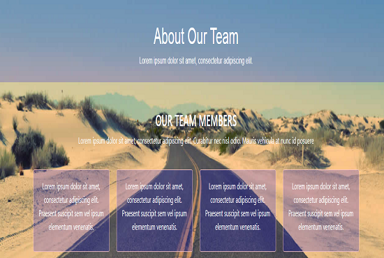 Professional Web Designer And Web Developer