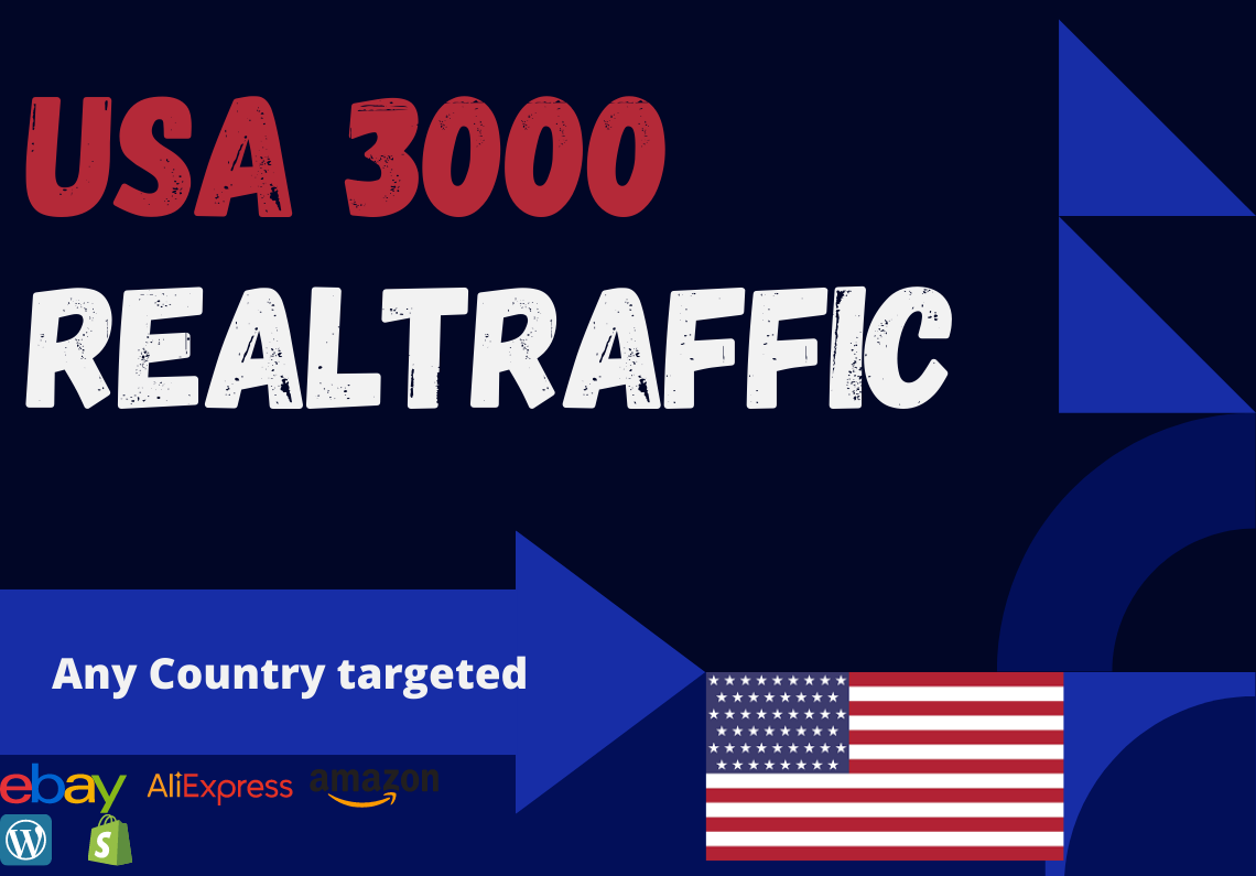 USA website Real person 3000 traffic low bounce rate ...