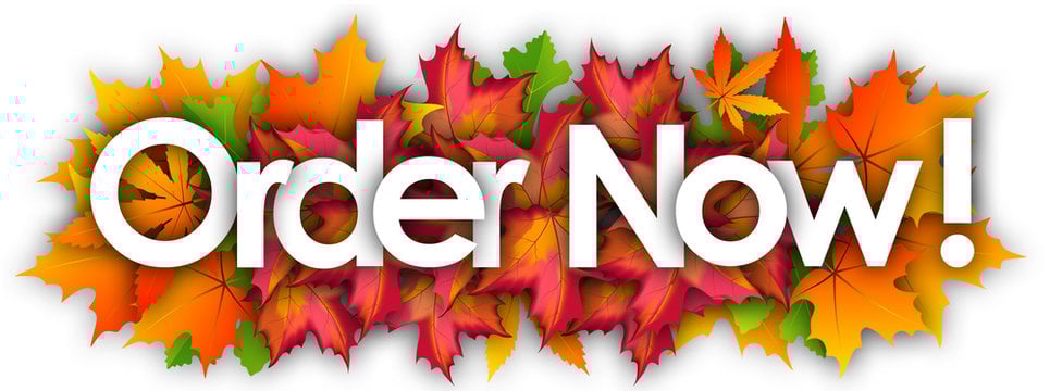 I will be your virtual assistant for web research, data entry, research