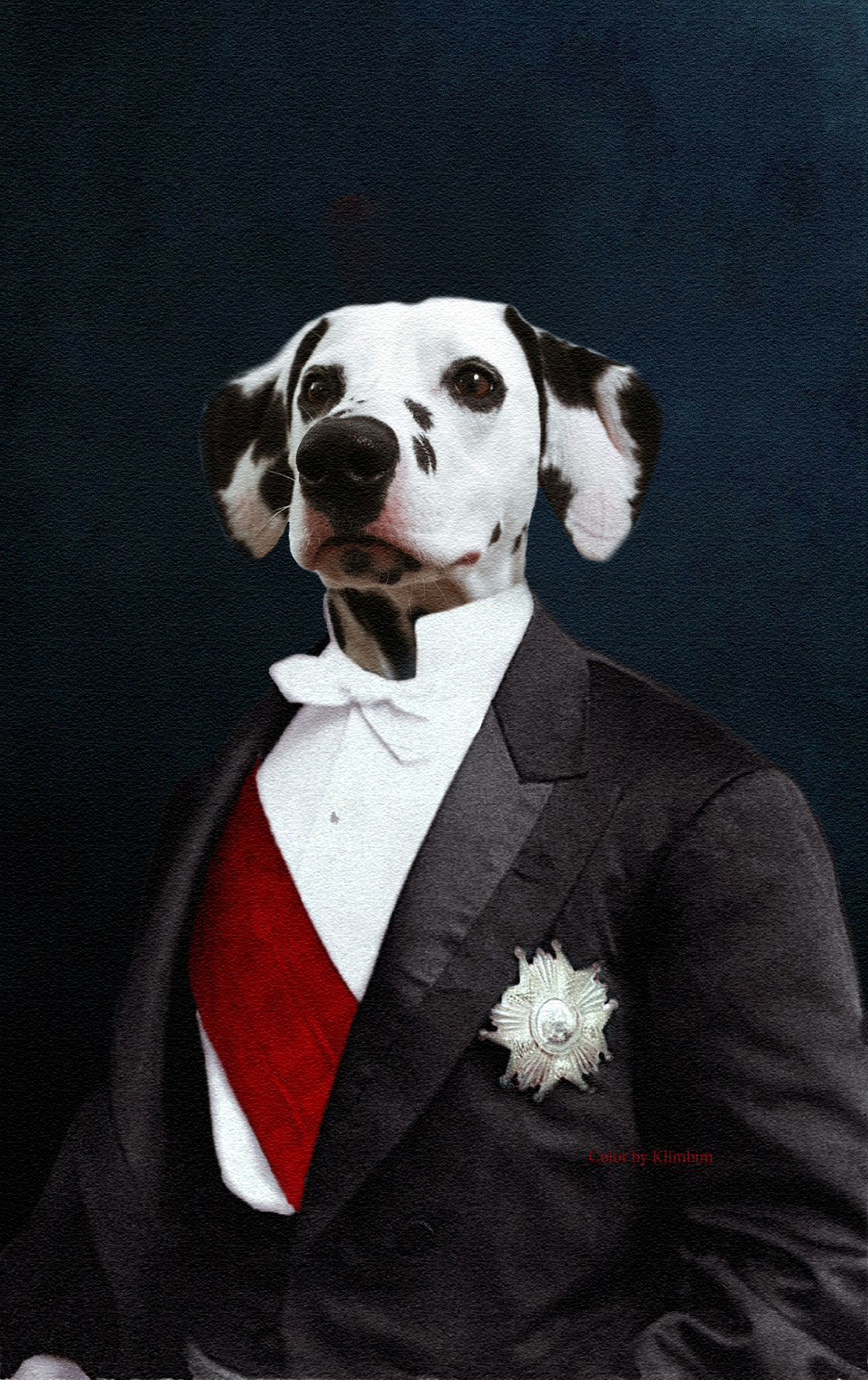 You will get high-quality royal pet custom portrait
