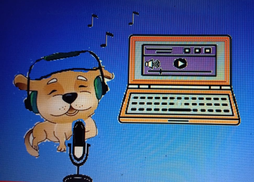 Best Male voiceover I do the voice over for any type ...