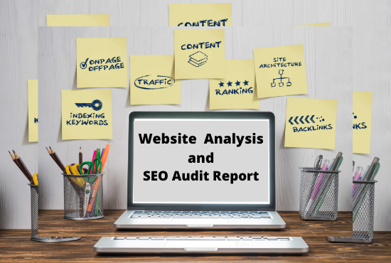 I will offer an expert SEO review report and competitor website analysis 