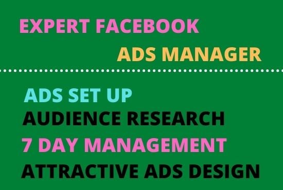 I will set up, optimize and manage your Facebook ads campaign