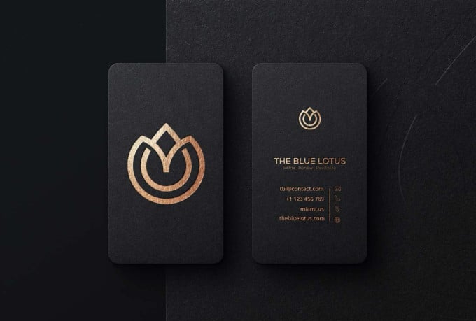 I will design a professional business logo in 24 hour