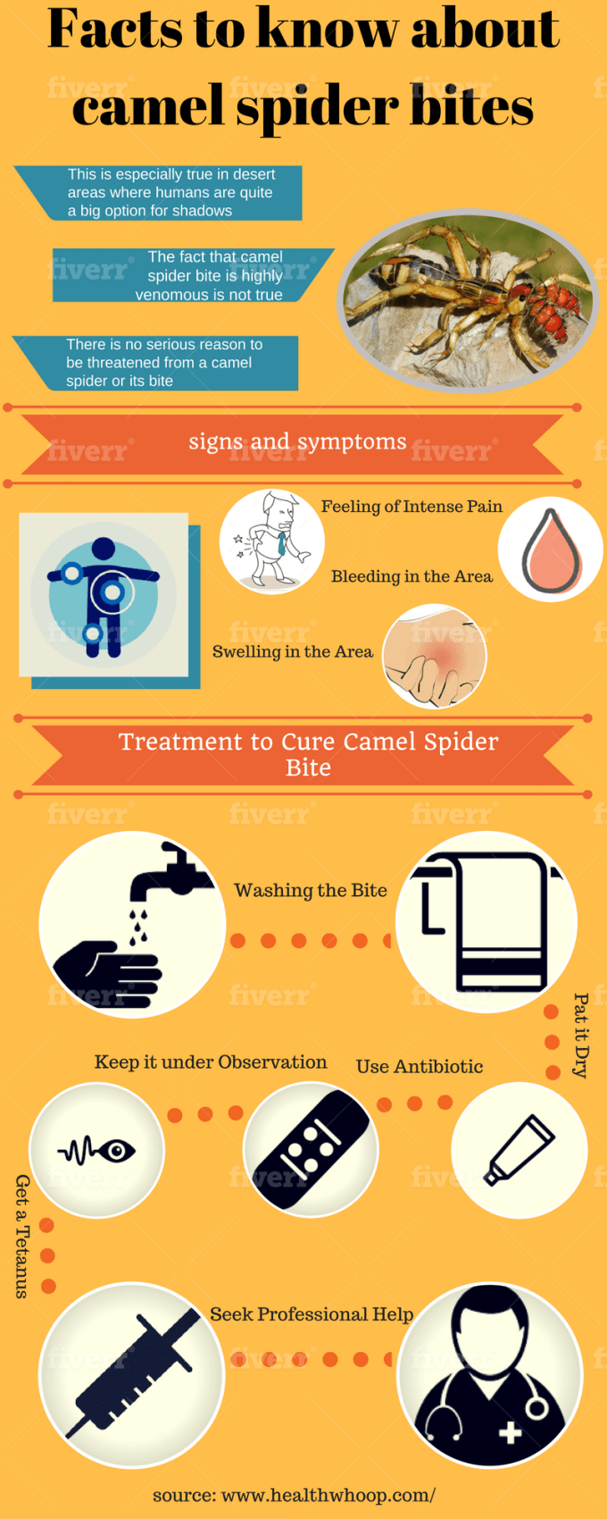 I will post infographics or images to 70 image sharing websites for you