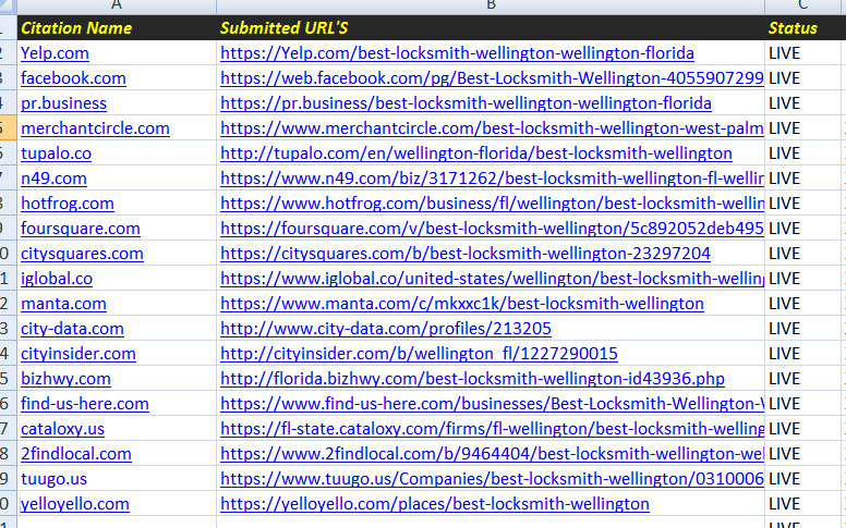 I will create live top 200 local seo citations