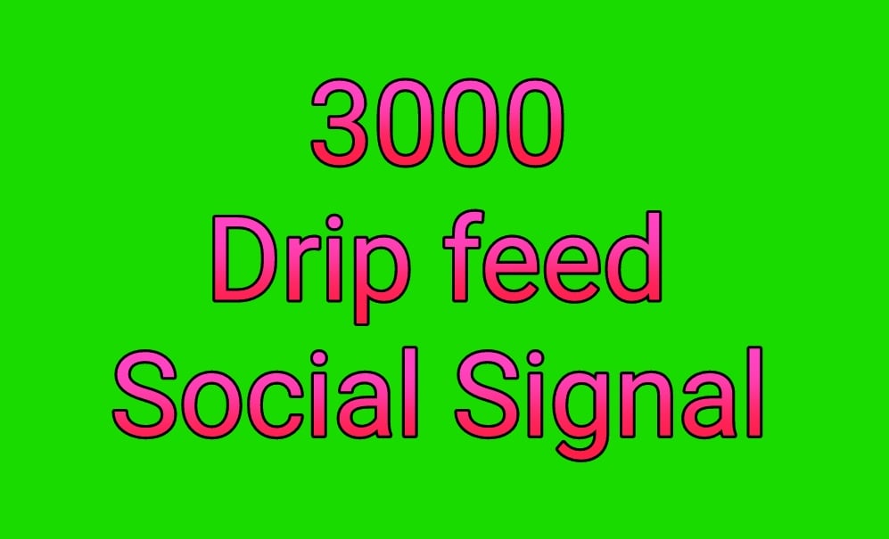 Manually high quality drip feed 3000 best quality seo...