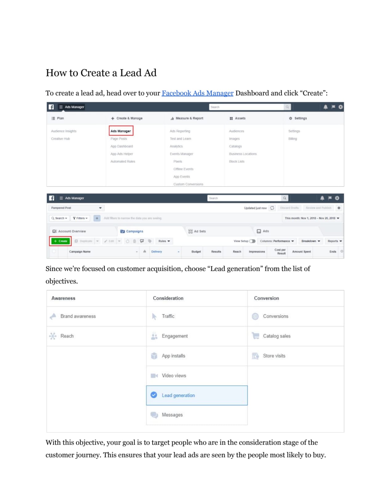 I will consult on facebook ads success via zoom